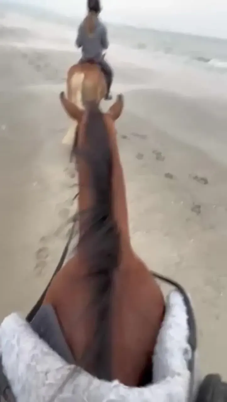 La plage, vue &agrave; cheval