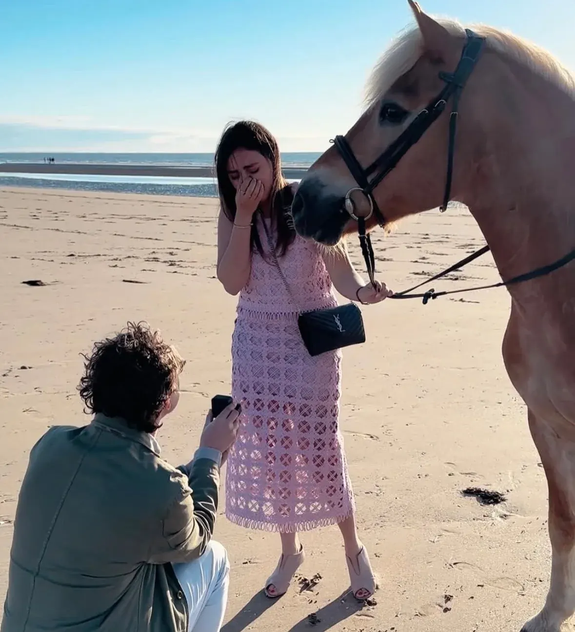 Une demande en mariage sur la plage, auprès d’un cheval